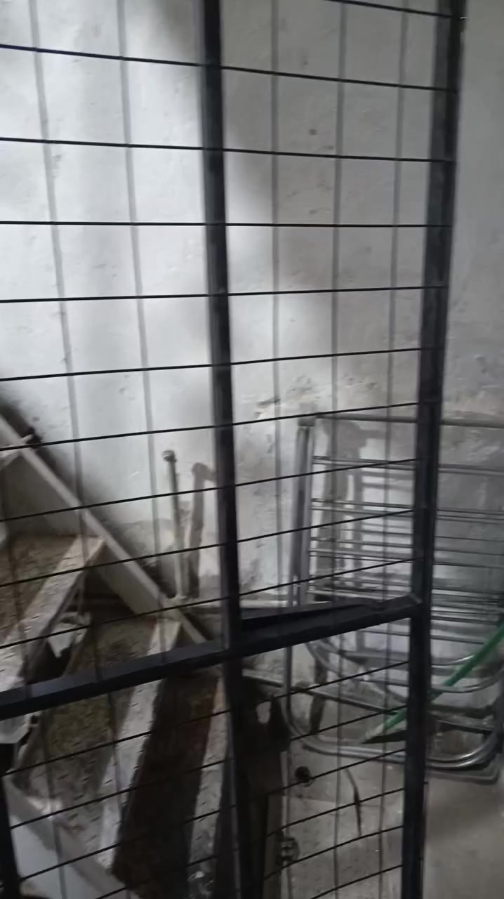 السلام عليكم قاعدة جربايه نفرين للبيع حديد درجة اولى مترتين وشويه السعر 35


**إذا كنت صاحب هذا الإعلان وتريد حذفه لأي سبب، رجاءا أرسل رسالة إلى الدعم الفني**