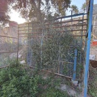 قفص حديد • طول ٣م • طويريج رجيبه