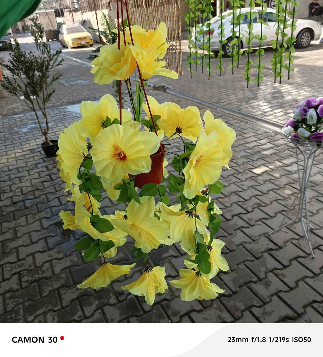 سندانه ورد تعليگ كثيفه توفرت بثلاث الوان


**إذا كنت صاحب هذا الإعلان وتريد حذفه لأي سبب، رجاءا أرسل رسالة إلى الدعم الفني**