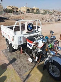 ستوته • موديل 21 • اوراق كامله