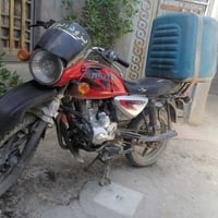 بوكسر • 2021 • فحل