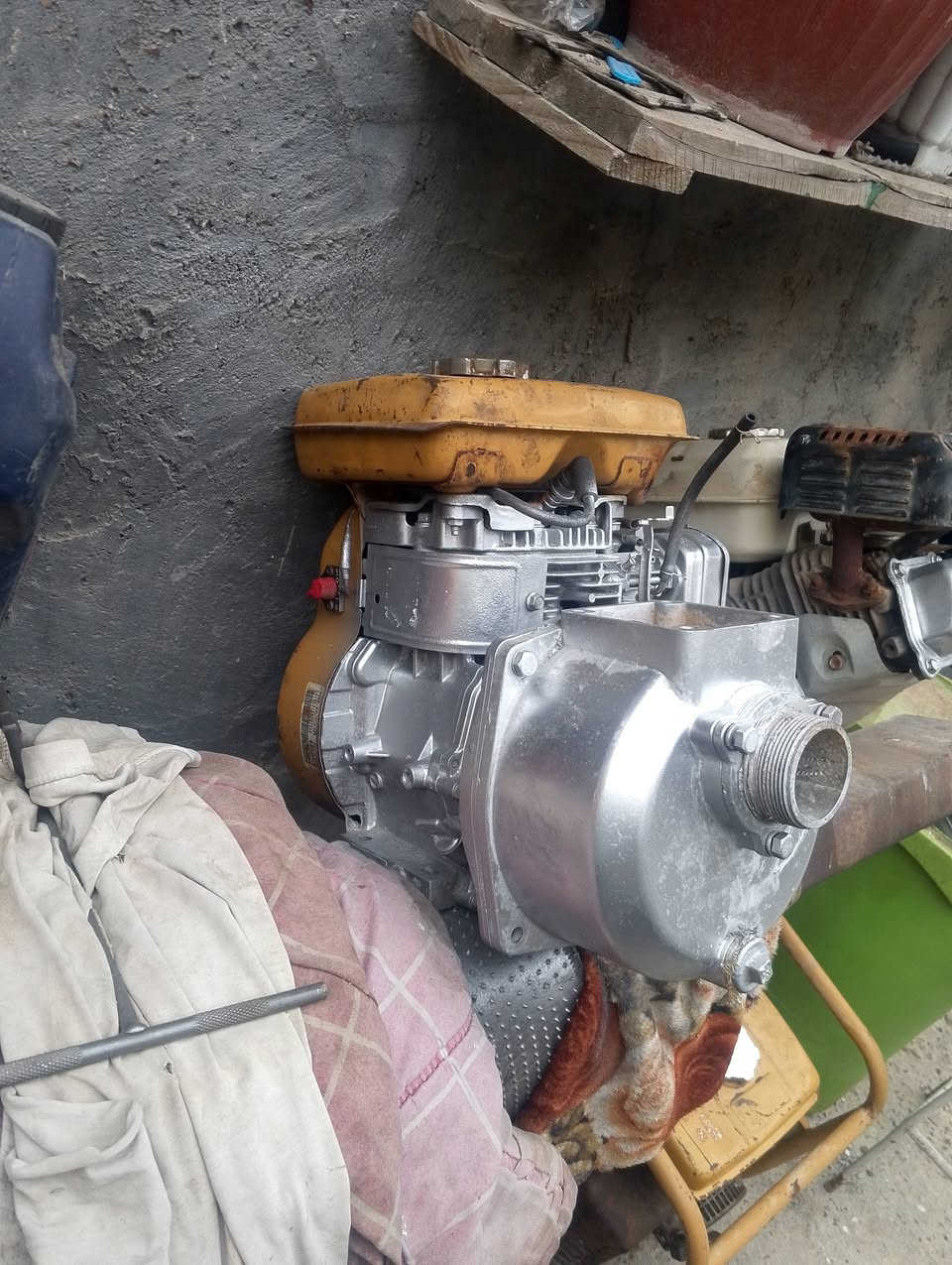 للبيع روبن يابانيات اخو الجديد ***********
