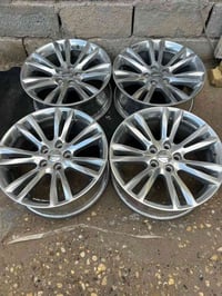 تخم ويل وبامأ مكسيكي حجم 18 البيع07748996762