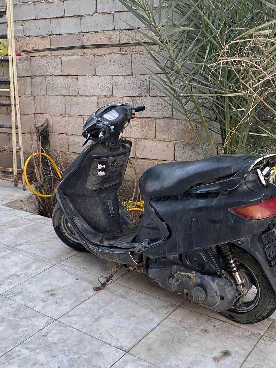 دراجه فراشه تخبل نهضه ومعدل ب 300 وبيهه مجال بسيط رقم ***********14 ديوانية, القادسية
