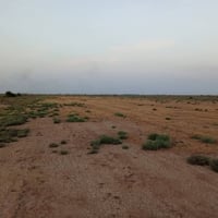 كاع البيع في تاجي ذراع دجله منطقه الشيخ عامر  ستفسار علا رقم ‏‪0787532...