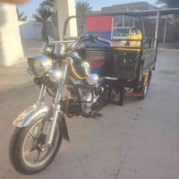 ستوته • صقر • ٢٠٢٢