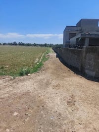 اليوسفيه • دوانم للبيع • مخدومة