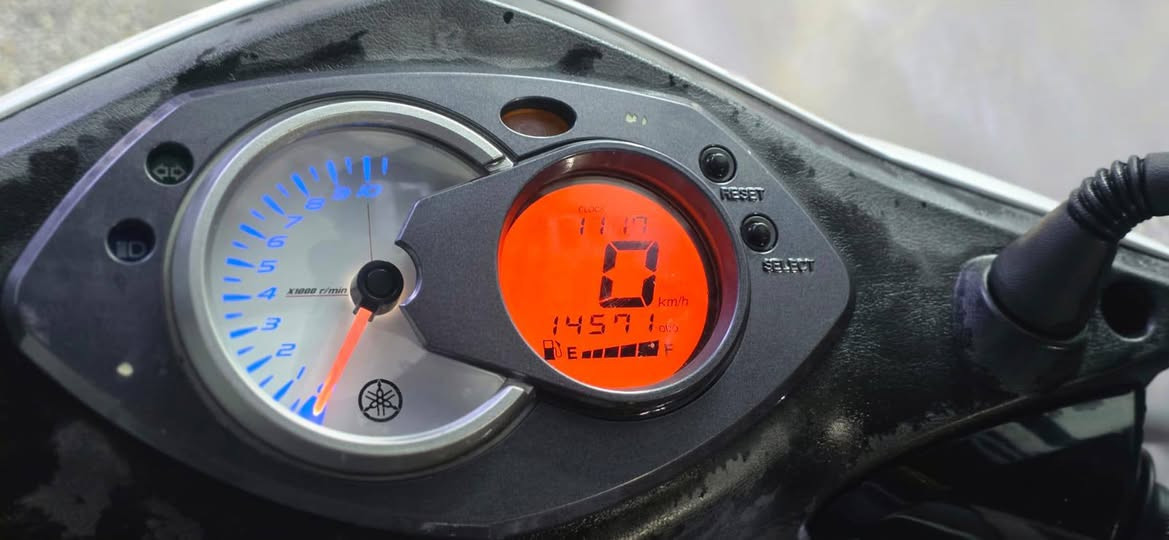 سلام عليكم سكنس فحل للبيع
ياباني اصلي 
قبق نفخ 
ماشية 14 
الاستفار ***********
