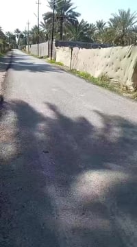 نص دونم للبيع  بغداد الراشديه مركز الناحيه طابو زراعي تحويل ب اسم المش...