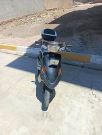 زنبور • سلف • يشتغل