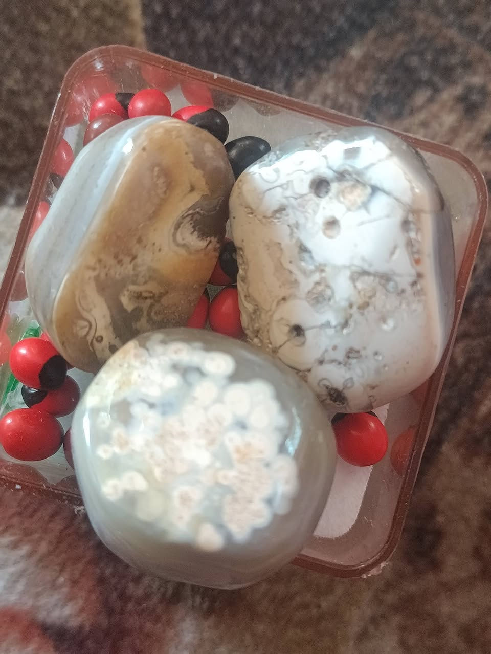 عيون واضحة جدا للناس المهتمه التفاصيل والسعر خااص


**إذا كنت صاحب هذا الإعلان وتريد حذفه لأي سبب، رجاءا أرسل رسالة إلى الدعم الفني**