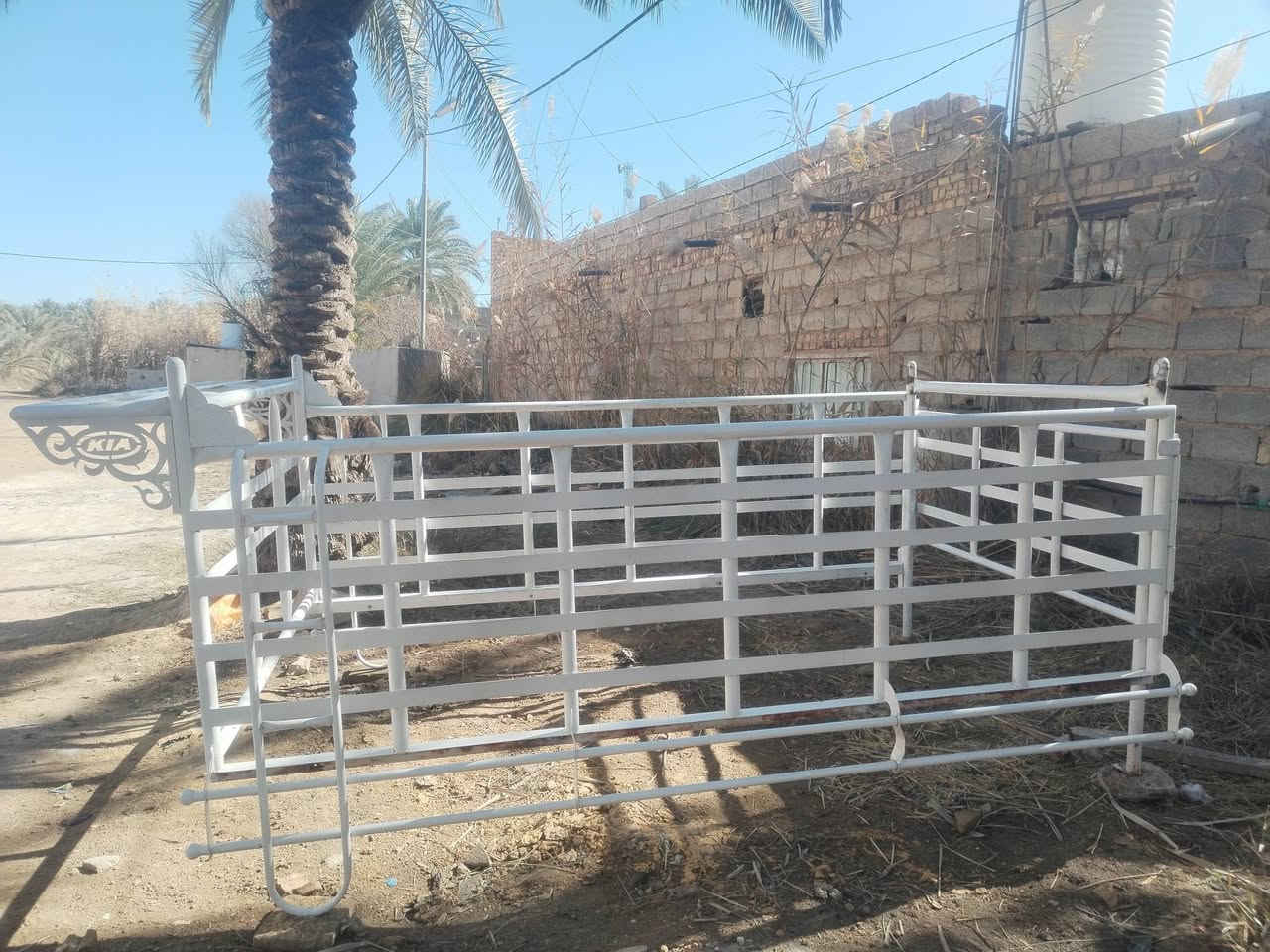 محجر. نثيه. ***********
