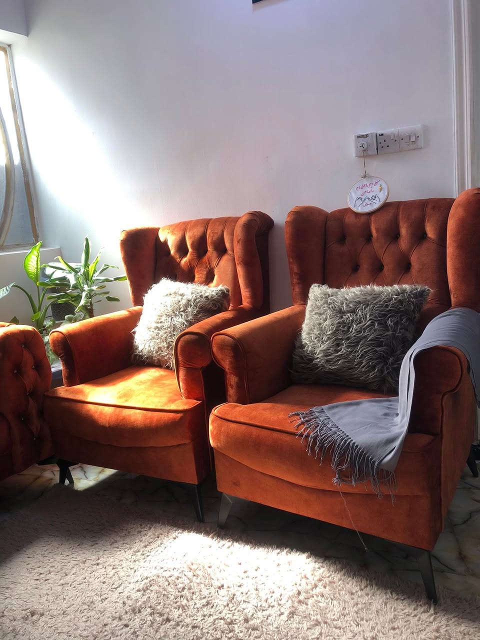 نص تخم للبيع عراقي موديل تركي
سعر الاصلي ٤٠٠سعر البيع ٢٥٠
العنوان الدوره


**إذا كنت صاحب هذا الإعلان وتريد حذفه لأي سبب، رجاءا أرسل رسالة إلى الدعم الفني**