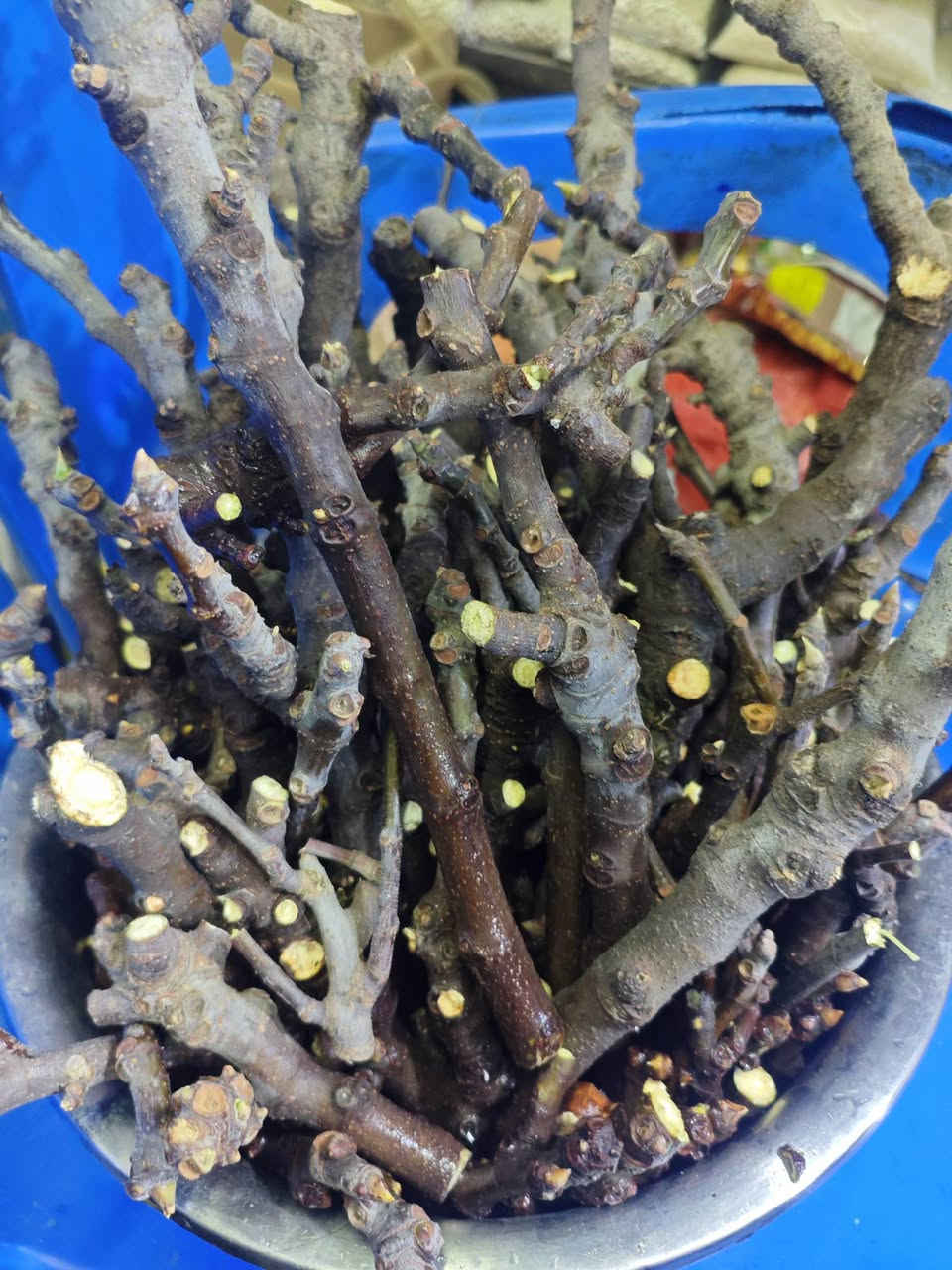 اقلام تين بني مسلم اسود مجانا مجانا 
الكمية محدودة
الاتصال 
***********
***********
