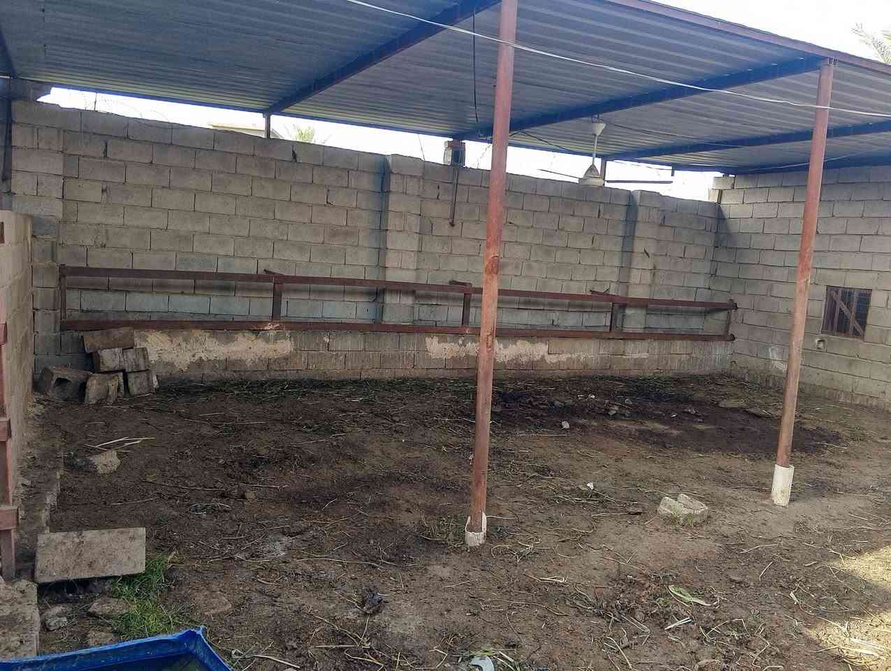 حقل تربية وتسمين أبقار أغنام مساحته 650م2الواجهه15م2والنزال45م2على الشارع العام تبليط ماء كهرباء يحتوي على قاعه محكمه 15/6ومسقفات 5/10عدد3و8/4عدد 2وغرفة علف7/4وغرفة استراحه 4/3وصحيات شرقي وغربي وحصره مبسطه لتربية دجاج العرب وباب رئيسيه ارتفاع 3م عرض 4م حقل نموذجي العنوان الشارع العام الرابط قرية جيزاني الجول بقرية زنبور...
الإستفسار على الأرقام التاليه 
***********
***********
غير متواجد على الفيس
