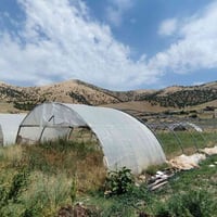 السليمانية • كامل • بلا عيب