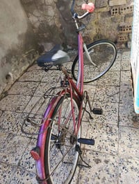 باسگل • موديل ١٥ • مروني