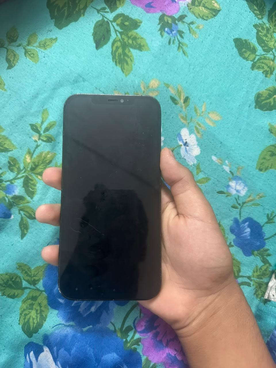 ١٢ برو ماكس 
مبدل شاشه 
بطاريه ٦٦ بلادي 
عيوبه:كاميرا x1 ماتشتغل 
سعره ٣٠٠ مجال قليل


**إذا كنت صاحب هذا الإعلان وتريد حذفه لأي سبب، رجاءا أرسل رسالة إلى الدعم الفني**
