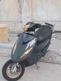 ماكس • ٥٥ • كلجات رياضي