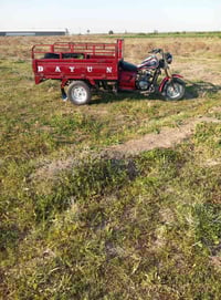 موديل ١٦ • بدون وراق • مكفوله