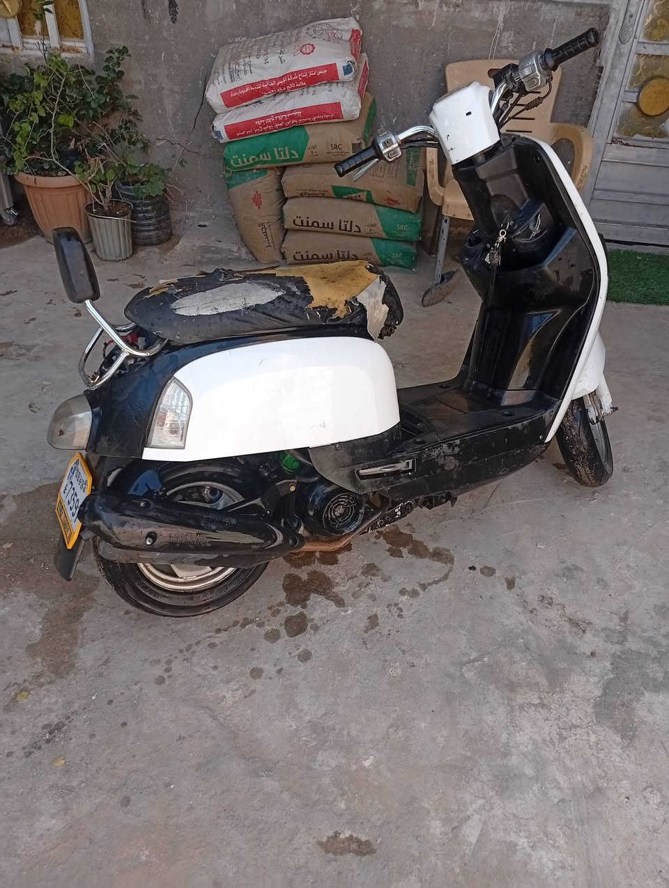 حبايب بوليس للبيع كربلاه حي الغدير ليريده يراسلني خاص ويدلل مناسبه كلش حلوه


**إذا كنت صاحب هذا الإعلان وتريد حذفه لأي سبب، رجاءا أرسل رسالة إلى الدعم الفني**
