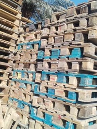 ٣٠٠ سكيبة • بلكوت • كوت حي لحكيم الثانية