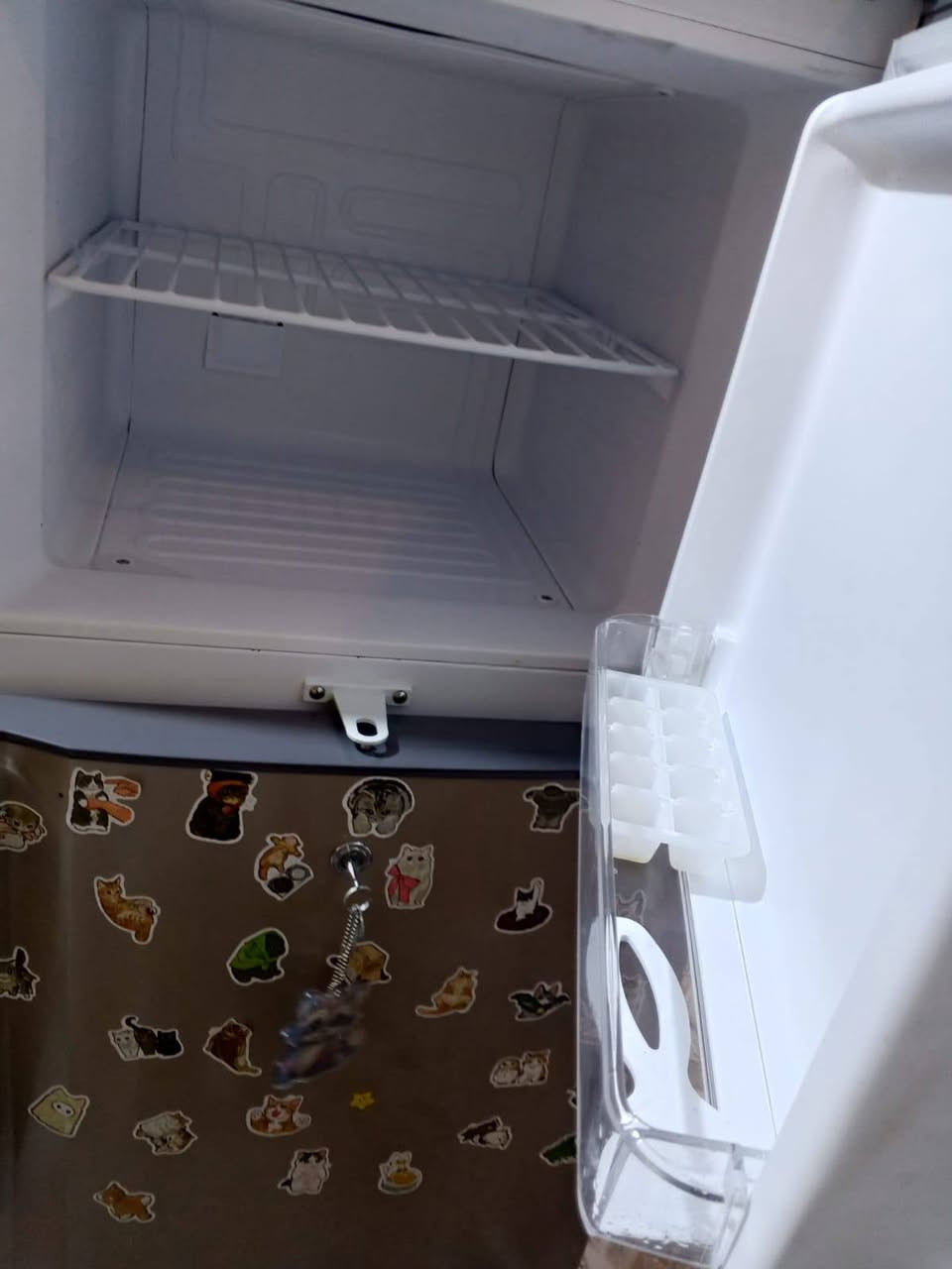 ثلاجه جديده للبيع مسختدم قليل سعر خاص


**إذا كنت صاحب هذا الإعلان وتريد حذفه لأي سبب، رجاءا أرسل رسالة إلى الدعم الفني**