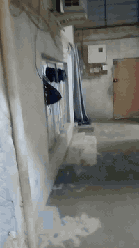 بيت للبيع قطاع 49بي 5غرف نوم وصاله ومطبخ واستقبال وحوش نص صب ونص عگاده...