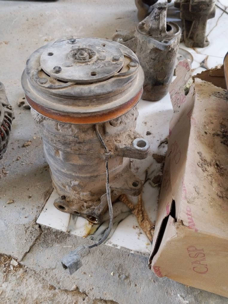 الزبير الجويه*********** البصرة, العراق
