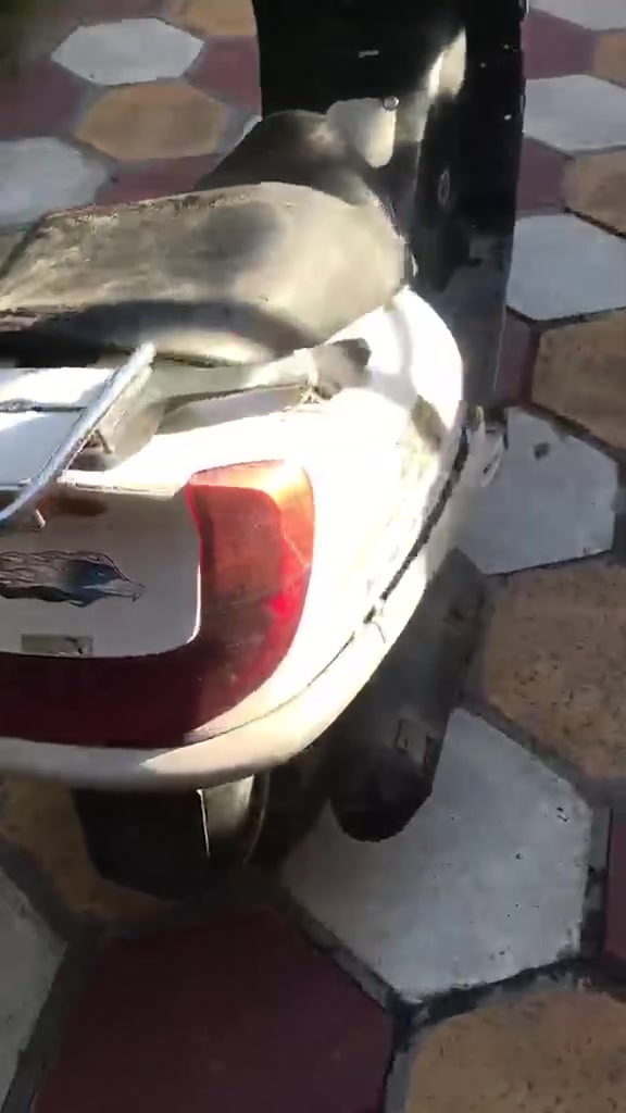 قيم عجبني سعرك ادخلك خاص طافيه كوم حديد تجي تحمل وتروح وهاذه رقمي *********** خابر وبخدمتك
