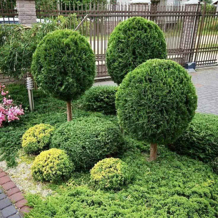 السلام عليكم احبتي
لان بدء الحجز لعمل الحدائق مع بدايه شهر 2 موسم الربيع
اخوكم المهندس الزراعي ابو جنات مستعد لعمل كل مايخص الحدائق  مع ضمان للعمل ومتابعه مجاناا
عمل (منظومه السقي. منظومه التقطير. تبديل تربه. عمل ديكورات بلحجر الطبيعي.زراعه الثيل دائم الخظار .باحدث التصاميم وانسب الاسعار
للاحجز مراسلتنا  اتصال او وتس اب ***********
واليكم مجموعه صور من اعمال قمنا بنشاها في عام 2025 
@إشارة
