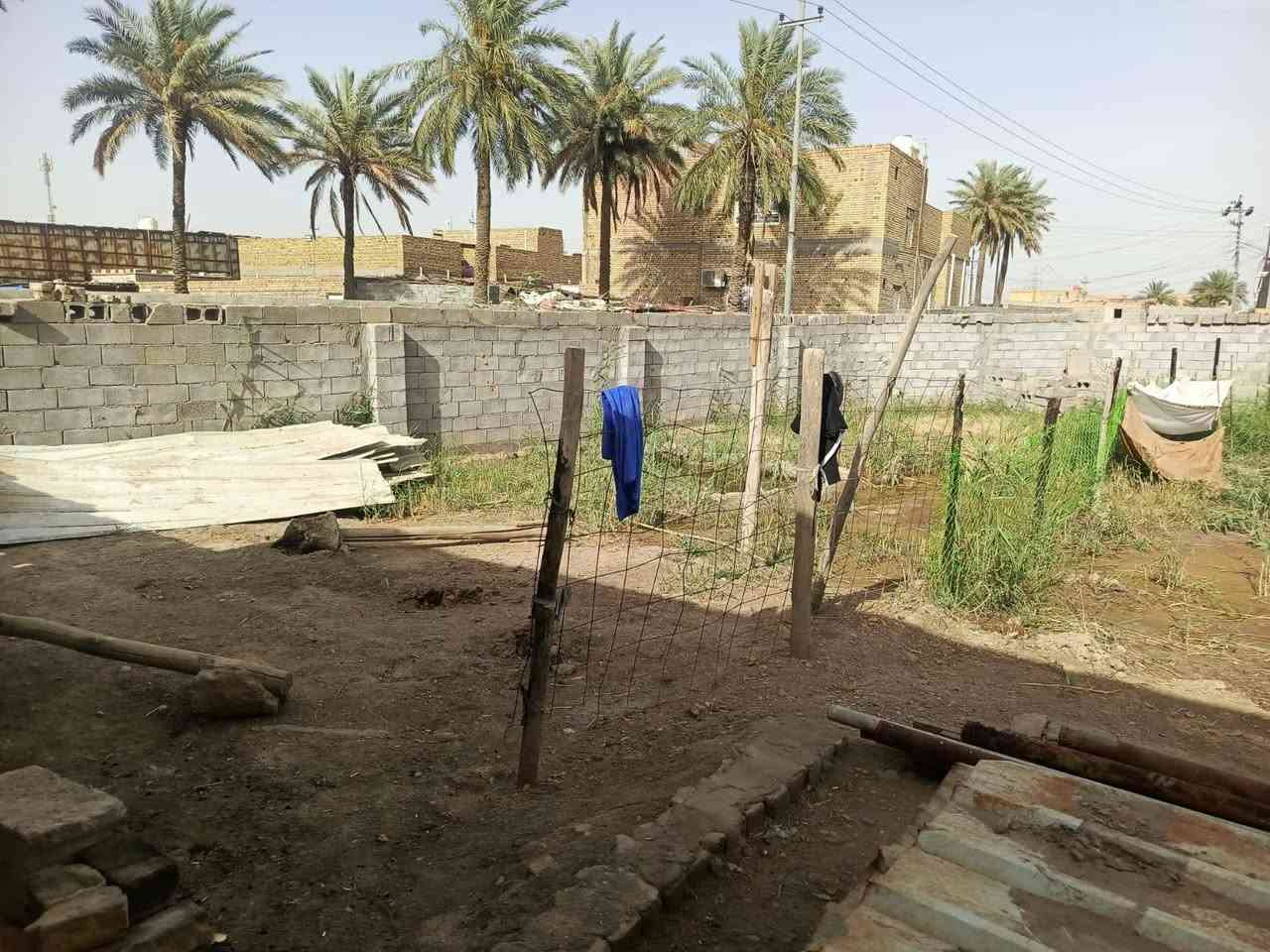 مكلف بنشر/ قطعه زراعيه سند 25 المساحه 1300 متر تحتوي على بيتين زاد حديقه مساحه 800 دور النفط منطه الحريه  اتصال *********** عمارة, ميسان
