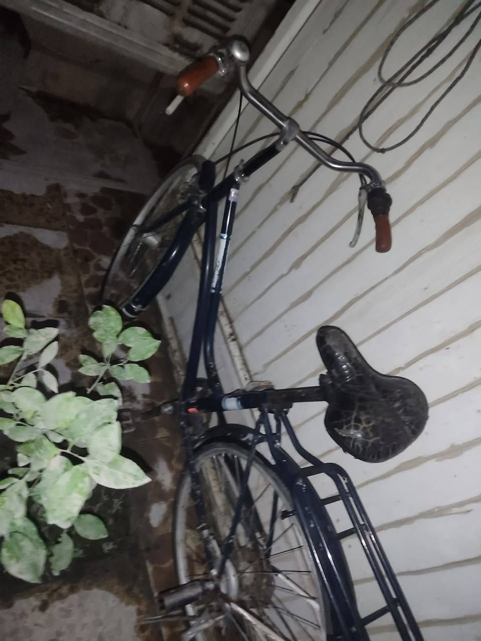 للبيع السعر 80 بي مجال بصيط باسكيل نضيف معليك بل صور كامرتين  ضعيف


**إذا كنت صاحب هذا الإعلان وتريد حذفه لأي سبب، رجاءا أرسل رسالة إلى الدعم الفني**