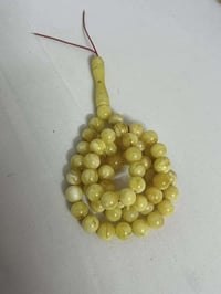 كهرب بولوني • محاحي مشجر • حر طبيعي