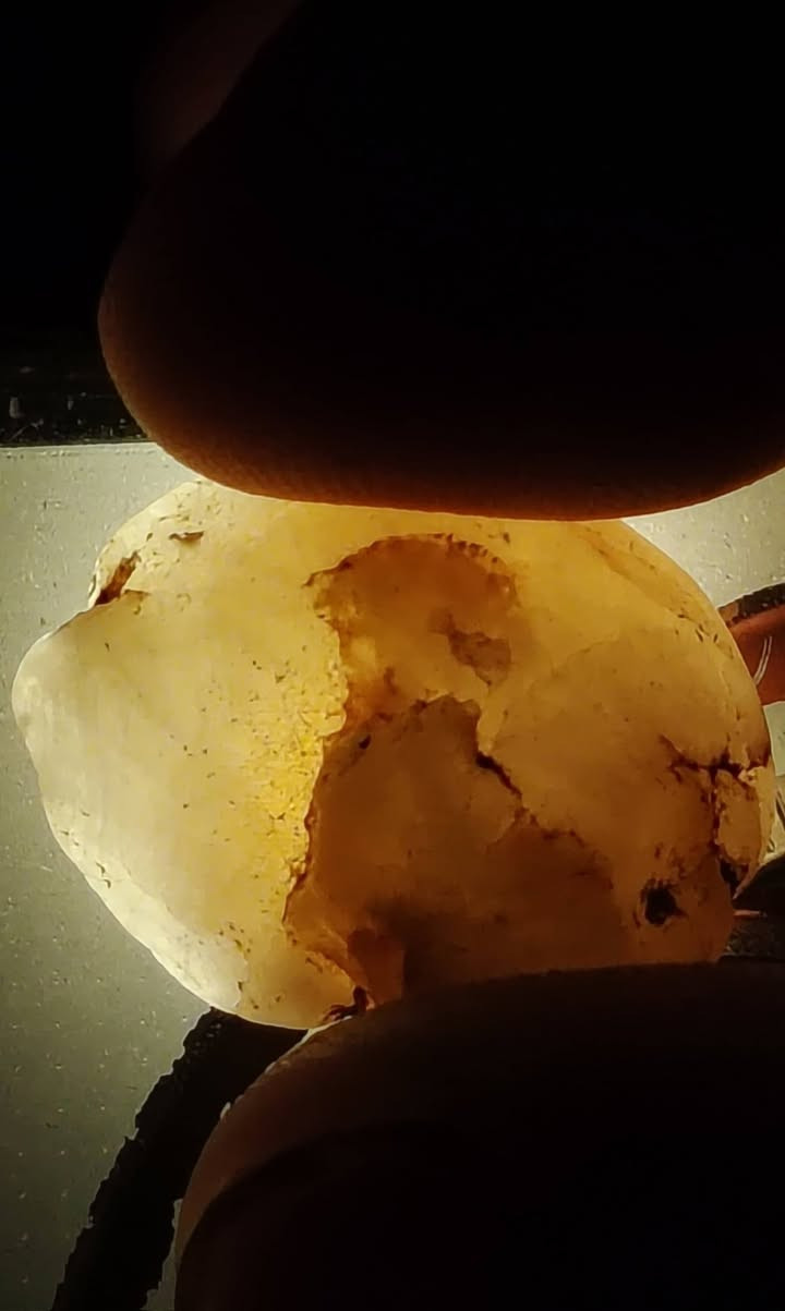 سلام عليكم 
للبيع حجر مصور اكثر من تصوير طبيعي 
السعر خاص لتواصل واتساب ***********
