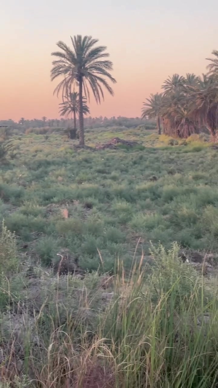 السلام عليكم (2) دونم طابو زراعي سند 25 العنوان كربلاء طوريج قضاء الخيرات طريق ازبيد ماء سقي  كهرباء طوارئ #قريبه
 #الواجهة 40 متر 
#السعر 45 الدونم الواحد 
الاتصال الرقم ***********
