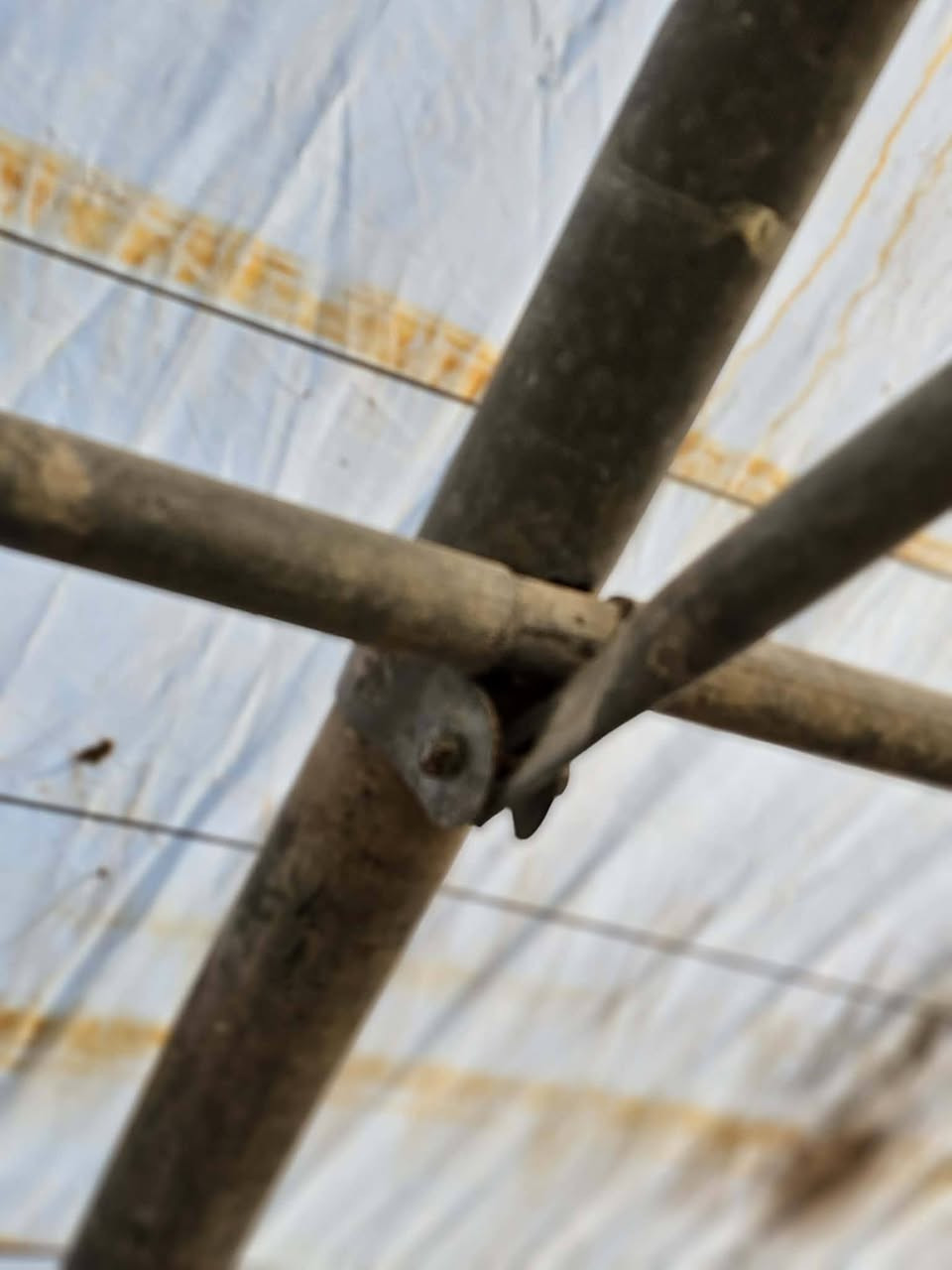 السلام عليكم بيت زجاجي 17حنيه اردني الثقيل مع نايلون يوناني الاصلي مع سيم تركي مع صونده تقطير ام 3. ٢٥متر السعر ١٩٠٠ وبيه مجال ***********
