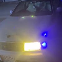 بطة منفصل • ١٩٩٣ • رقم انبار