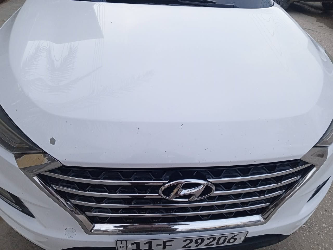 السلام عليكم
للبيع توسان رقم بغداد انكليزي موديل 2019 باسمي فول مواصفات عدى الفتحه 
بصمة ابواب وبصمة تشغيل
حساسات امامي وخلفي
كامرة امامي وخلفي
شاشة كبيره
كشنات جلد تحكم كهربائي الاماميات
دشبول صاج
لايت ست عدسات وعدسه دواره ويه الستيرن
فول تحكم استيرن مثبت سرعة
قطعتين تبريد
ماشيه 152

السياره بيه بارد على كد شبر واحد بالجاملغ الخلفي الأيمن واثنين شخوط مكحلات بالباب الخلفي الايمن
المكان بابل
السعر200 وبيه مجال
***********
