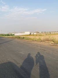 يتوفر لدينا قطع أراضي زراعية سند 25 على طابو العامرية المساحات  المتوف...