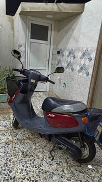 نفخ • معمر • ماروني