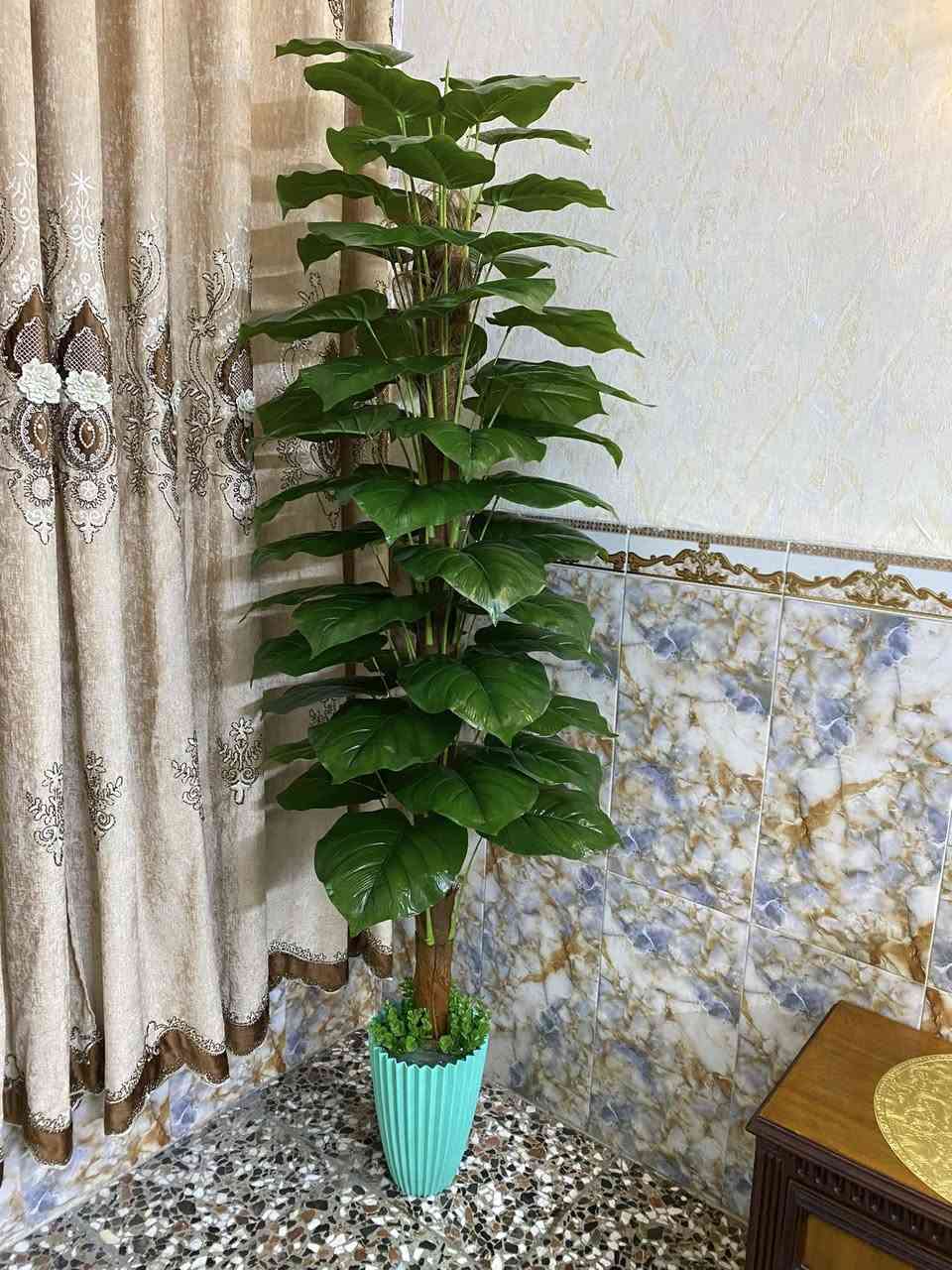 شجرة مال زينة اصطناعية
اوراقها جبيره

وحجم الشجرة جبير 

ارتفاعها ٢٢٠ مترتين وشويه

عرضها ٦٠ اكثر من نص متره

بغداد زعفرانية  سعر 75 الف

***********
