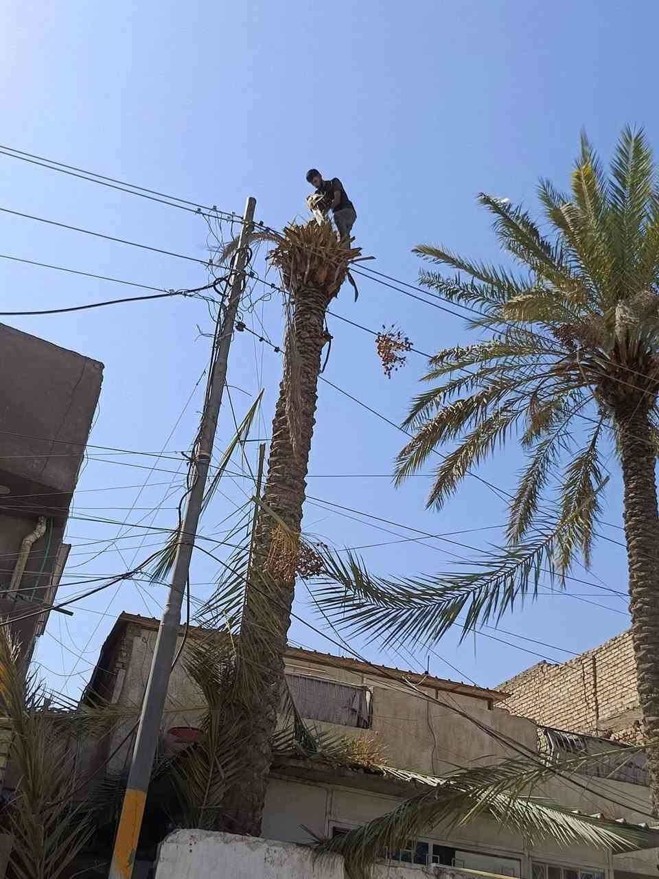 كادر محترف في  مجال التقطيع
 واتساب ***********

 👍👍✅
شعارنا المصداقيه @الجميع
