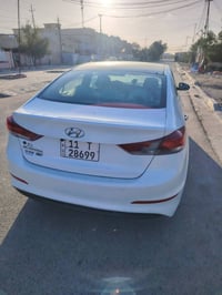 ٢٠١٨ • وارد امريكي • ثلاث قطع صبغ