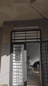 تشطيب مكان عمل • كربلاء