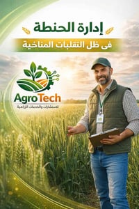 استشارات زراعية • حنطة • مقاومة حرارة