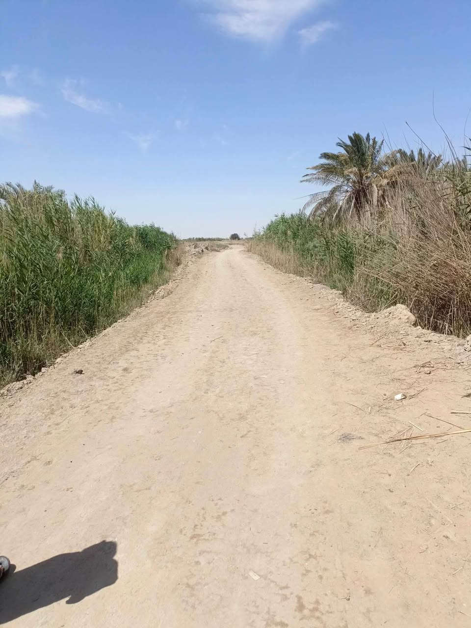 دونمين للبيع زراعي على شارعين نهايته قريت النصر عن البيوت تقريبن 200متر ماي وكهرباء متوفره ساكيه موجوده مايكطع بيها دوم الاستفسار ***********
