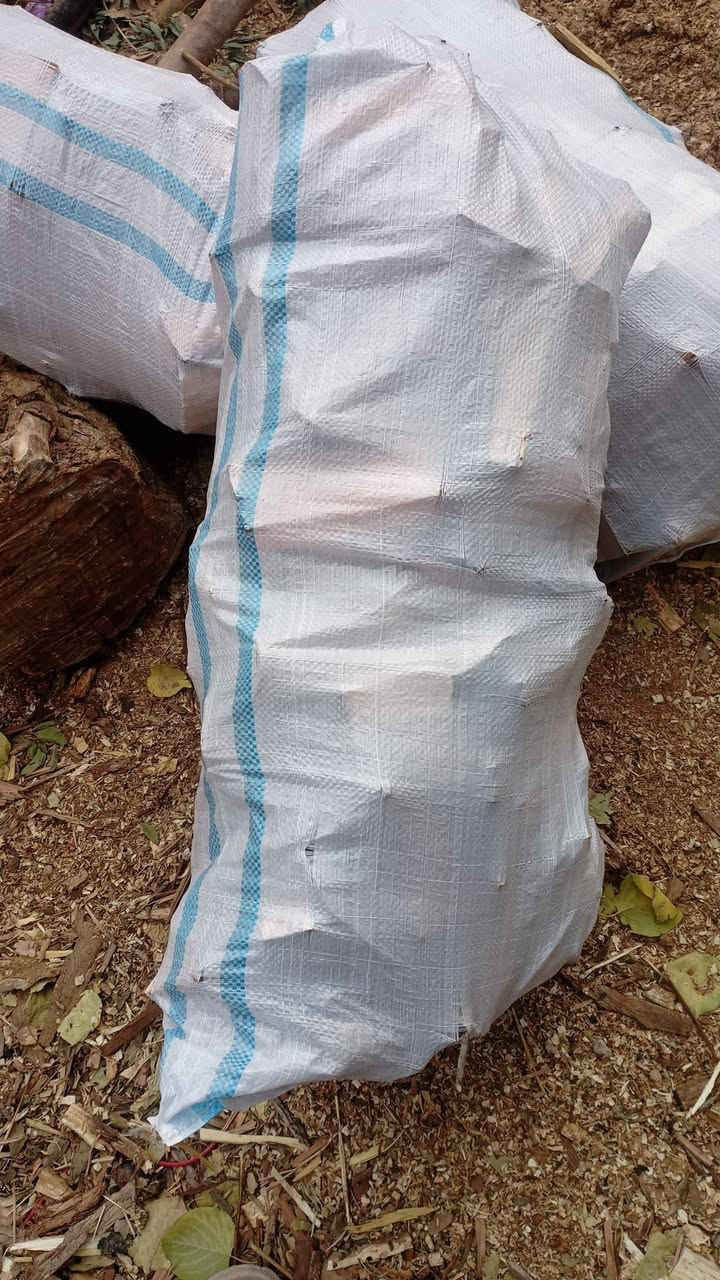 يوجد كواني حطب السعر الكونيه 5 وحجم الكونيه 55 التصال بل رقم 
*********** حطب يابس
