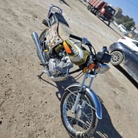 موديل 2025 • أوراق كاملة • حله طهمازيه