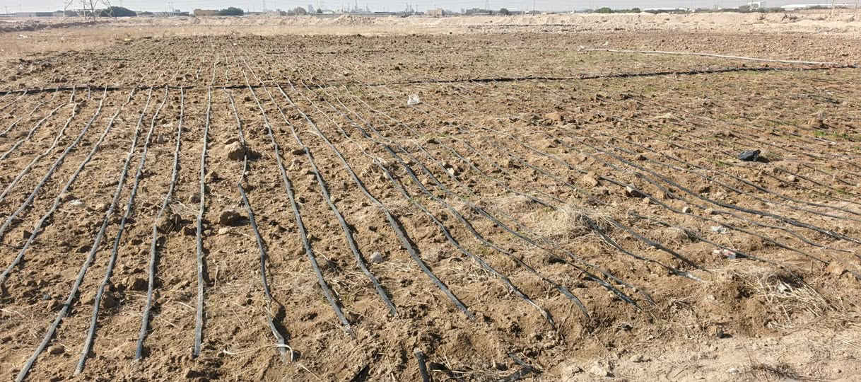 سلام عليكم دوانم للبيع الزبير دواجن تواصل ***********
